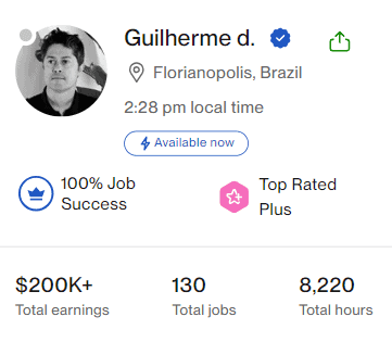 Guilherme da Luz Upwork Profile.